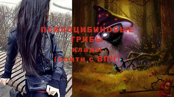 шишки Верхнеуральск