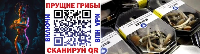 Галлюциногенные грибы Psilocybe  Купить закладки  Калязин 